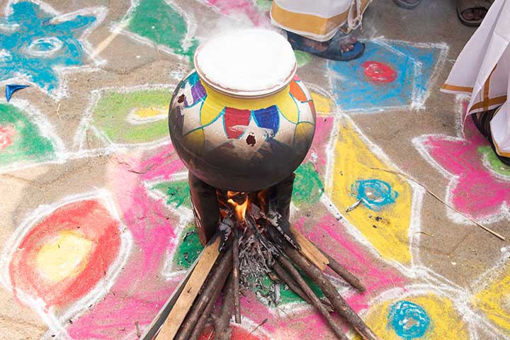 Cooking by pot in Pongal Day Celebration 2019 - AVIT
